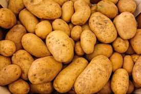 Fresh whole potatoes with light brown skin piled together on a rustic surface.