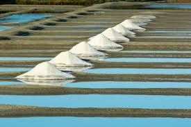 White salt piles drying on sand after traditional salt harvesting.